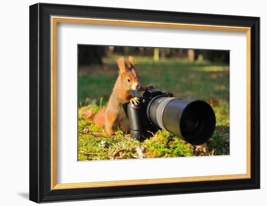 Squirrel as a Photographer with Big Professional Camera-Stanislav Duben-Framed Photographic Print