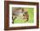 Squirrel Close Up-rekemp-Framed Photographic Print