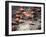 Squirrel Fish, Astove Island, Seychelles, Africa-Pete Oxford-Framed Photographic Print