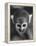 Squirrel Monkey, Baker, Who Made Space Flight in Jupiter Missile, in Lab-Grey Villet-Framed Premier Image Canvas