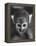 Squirrel Monkey, Baker, Who Made Space Flight in Jupiter Missile, in Lab-Grey Villet-Framed Premier Image Canvas