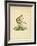 Squirrel Monkey-null-Framed Giclee Print