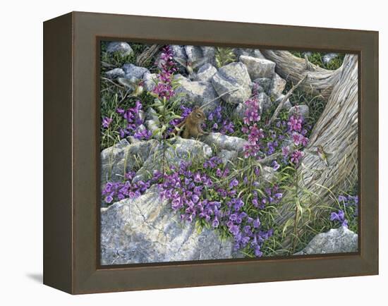 Squirrel Painting-Jeff Tift-Framed Premier Image Canvas