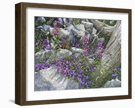 Squirrel Painting-Jeff Tift-Framed Giclee Print