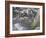 Squirrel Painting-Jeff Tift-Framed Giclee Print
