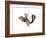 Squirrel Rodeo-J Hovenstine Studios-Framed Giclee Print