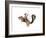 Squirrel Rodeo-J Hovenstine Studios-Framed Giclee Print