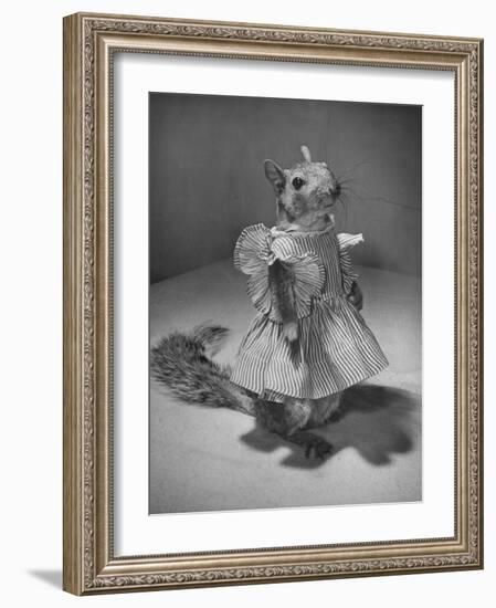 Squirrel Wearing a Baby Doll's Dress-Nina Leen-Framed Photographic Print