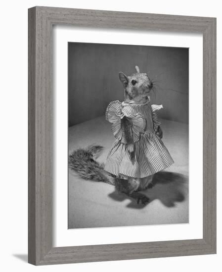 Squirrel Wearing a Baby Doll's Dress-Nina Leen-Framed Photographic Print