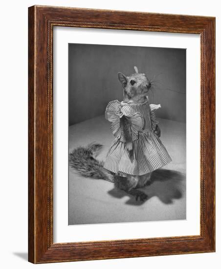 Squirrel Wearing a Baby Doll's Dress-Nina Leen-Framed Photographic Print