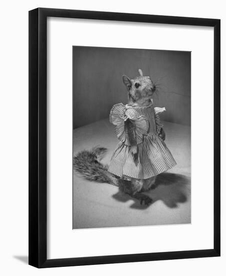 Squirrel Wearing a Baby Doll's Dress-Nina Leen-Framed Photographic Print