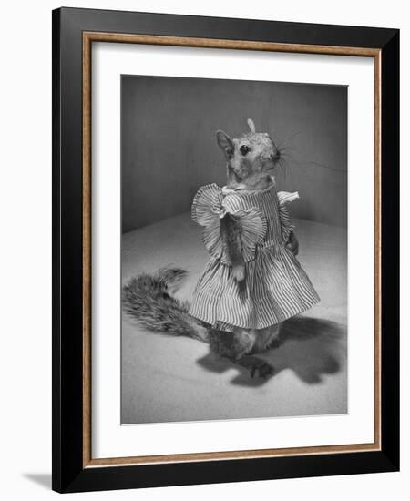 Squirrel Wearing a Baby Doll's Dress-Nina Leen-Framed Photographic Print