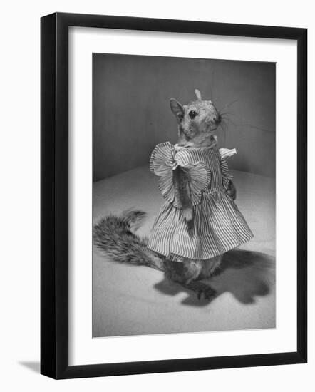 Squirrel Wearing a Baby Doll's Dress-Nina Leen-Framed Photographic Print