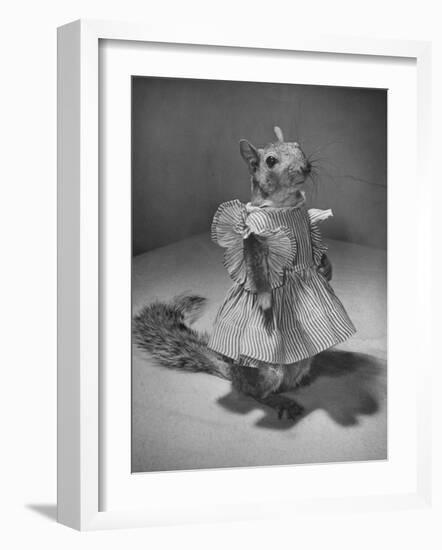 Squirrel Wearing a Baby Doll's Dress-Nina Leen-Framed Photographic Print