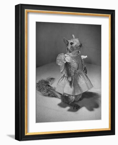 Squirrel Wearing a Baby Doll's Dress-Nina Leen-Framed Photographic Print