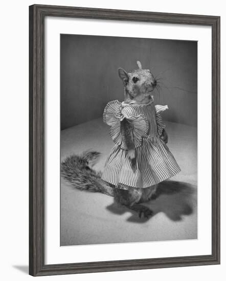 Squirrel Wearing a Baby Doll's Dress-Nina Leen-Framed Photographic Print