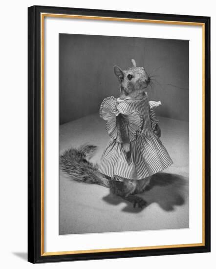 Squirrel Wearing a Baby Doll's Dress-Nina Leen-Framed Photographic Print