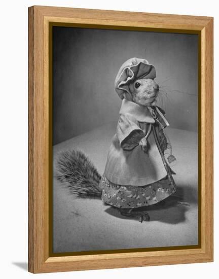 Squirrel Wearing a Baby Doll's Dress-Nina Leen-Framed Premier Image Canvas