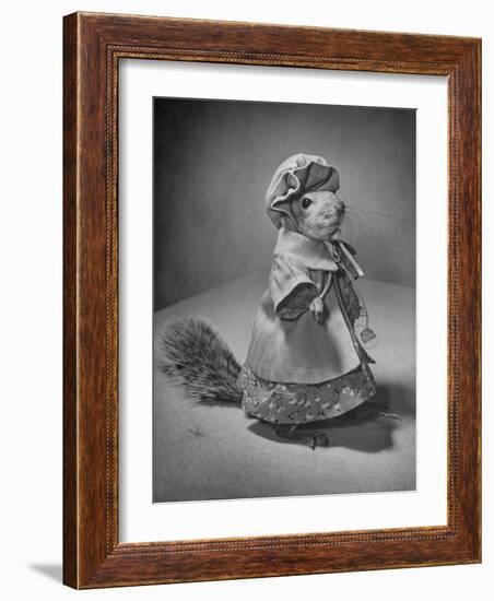 Squirrel Wearing a Baby Doll's Dress-Nina Leen-Framed Photographic Print