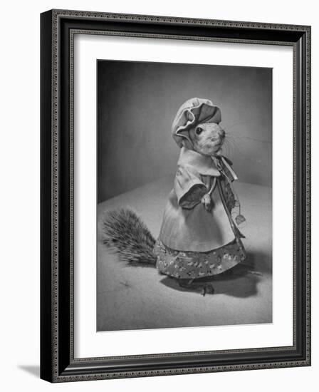 Squirrel Wearing a Baby Doll's Dress-Nina Leen-Framed Photographic Print