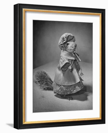 Squirrel Wearing a Baby Doll's Dress-Nina Leen-Framed Photographic Print