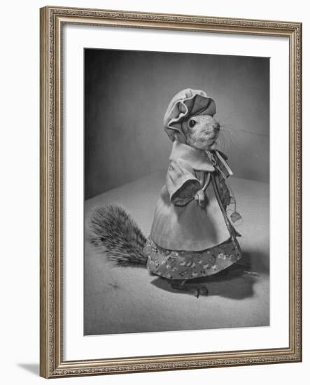 Squirrel Wearing a Baby Doll's Dress-Nina Leen-Framed Photographic Print