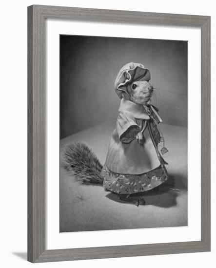 Squirrel Wearing a Baby Doll's Dress-Nina Leen-Framed Photographic Print