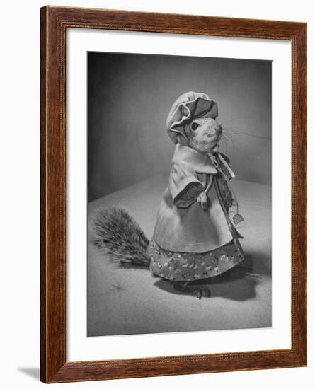 Squirrel Wearing a Baby Doll's Dress-Nina Leen-Framed Photographic Print