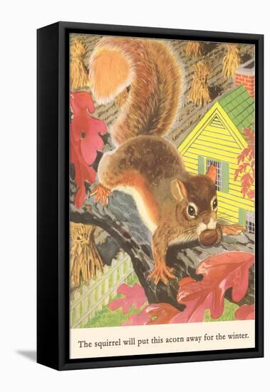 Squirrel with Acorn-null-Framed Stretched Canvas