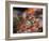 Squirrel-WizData-Framed Photographic Print