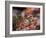 Squirrel-WizData-Framed Photographic Print