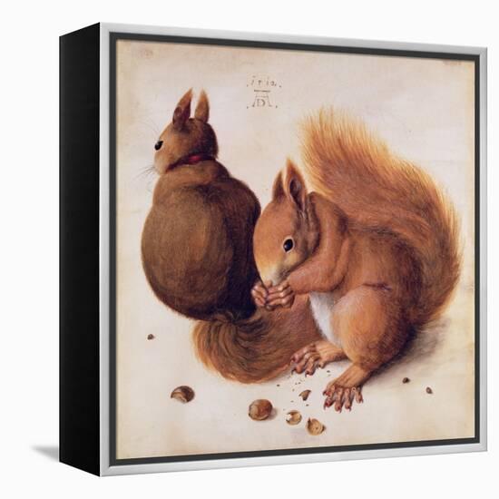 Squirrels, 1512-Albrecht Dürer-Framed Premier Image Canvas