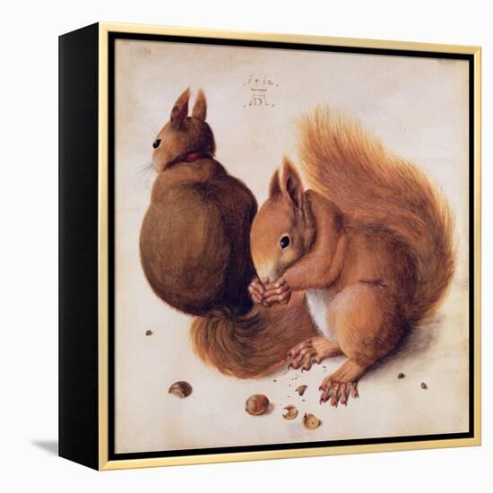 Squirrels, 1512-Albrecht Dürer-Framed Premier Image Canvas