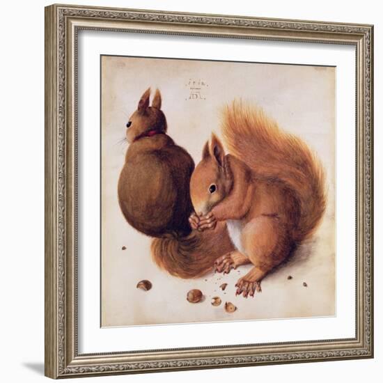 Squirrels, 1512-Albrecht Dürer-Framed Giclee Print