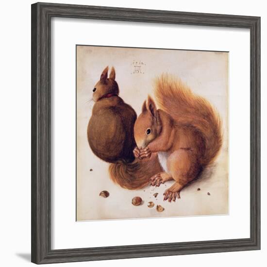 Squirrels, 1512-Albrecht Dürer-Framed Giclee Print