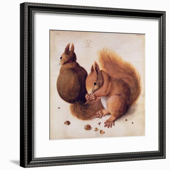 Squirrels, 1512-Albrecht Dürer-Framed Giclee Print