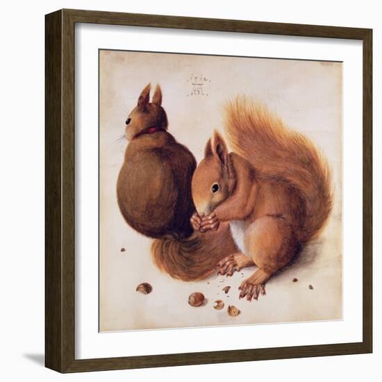 Squirrels, 1512-Albrecht Dürer-Framed Giclee Print