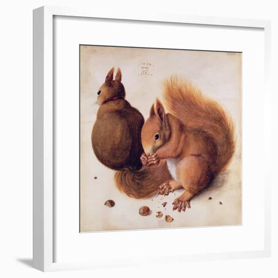 Squirrels, 1512-Albrecht Dürer-Framed Giclee Print