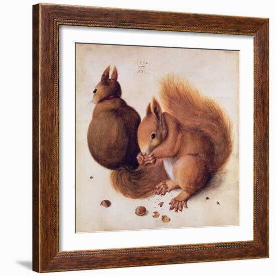 Squirrels, 1512-Albrecht Dürer-Framed Giclee Print