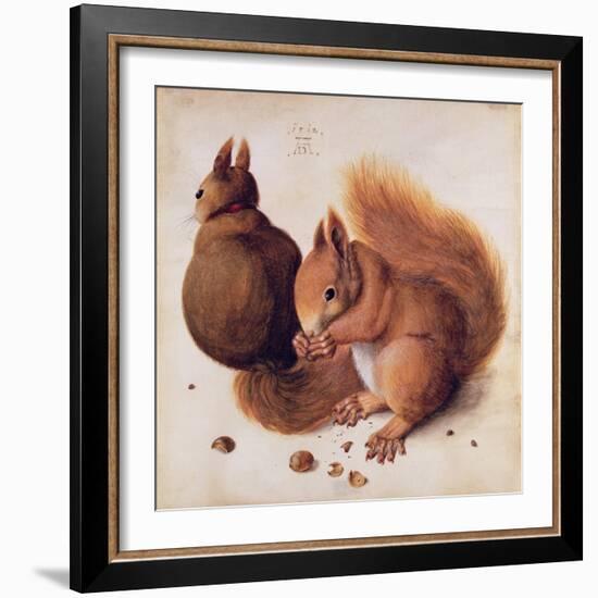 Squirrels, 1512-Albrecht Dürer-Framed Giclee Print