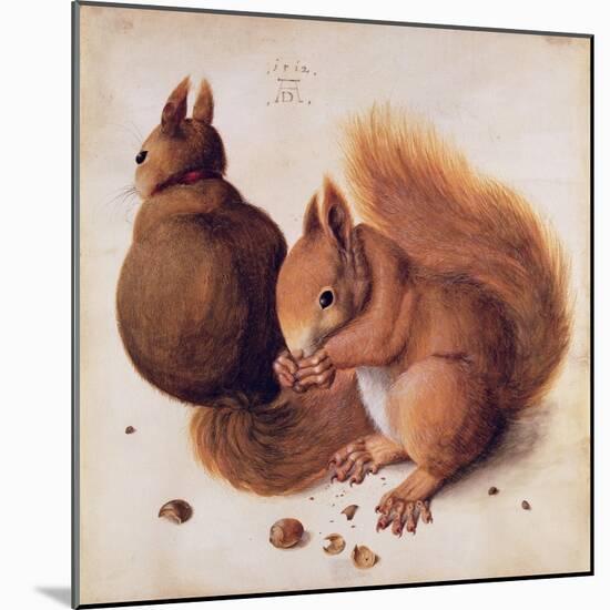 Squirrels, 1512-Albrecht Dürer-Mounted Giclee Print