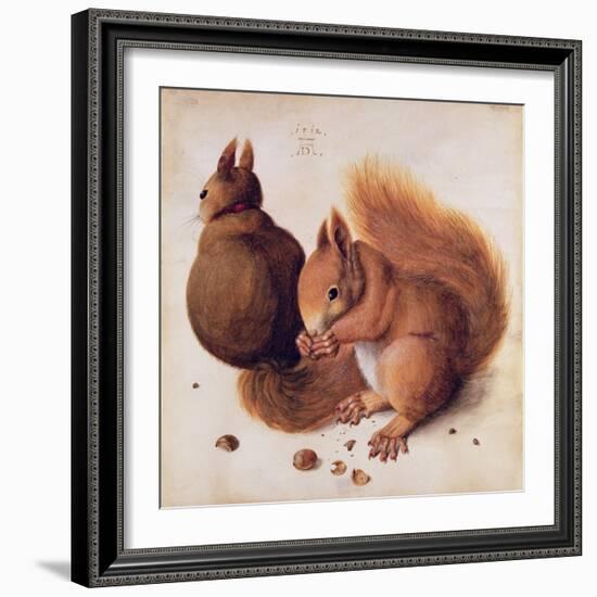 Squirrels, 1512-Albrecht Dürer-Framed Giclee Print