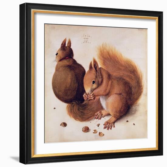 Squirrels, 1512-Albrecht Dürer-Framed Giclee Print