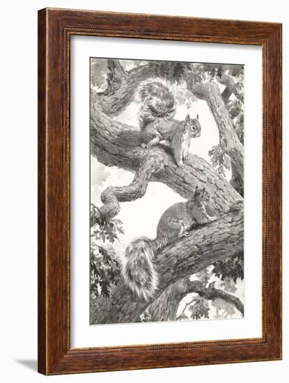 Squirrels in Tree-null-Framed Art Print