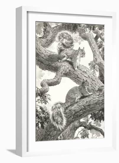 Squirrels in Tree-null-Framed Art Print