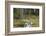 Squirrels, Sciurus Vulgaris, Finland-Christian Zappel-Framed Photographic Print