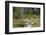 Squirrels, Sciurus Vulgaris, Finland-Christian Zappel-Framed Photographic Print