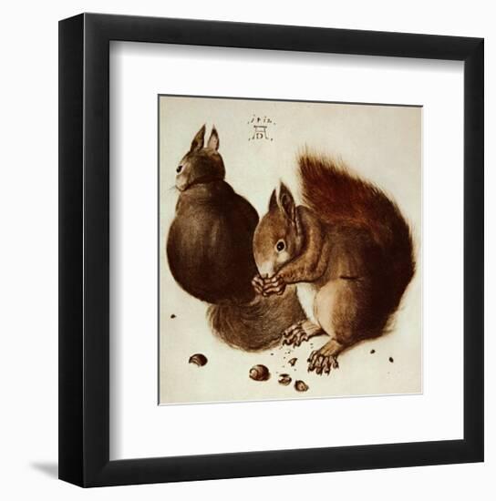 Squirrels-Albrecht Dürer-Framed Art Print