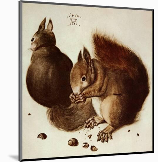 Squirrels-Albrecht Dürer-Mounted Art Print