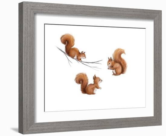 Squirrels-MAKIKO-Framed Giclee Print